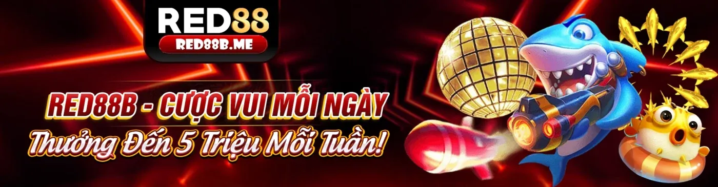 Hình ảnh đại diện cho chính sách bảo vệ dữ liệu GDPR của 88net casino